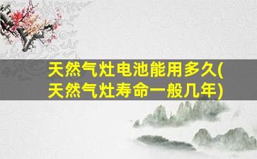 天然气灶电池能用多久(天然气灶寿命一般几年)