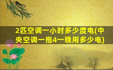 2匹空调一小时多少度电(中央空调一拖4一晚用多少电)