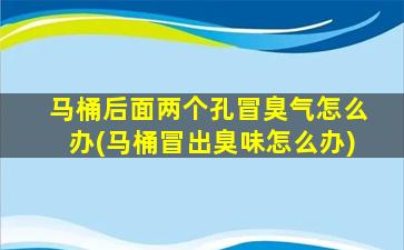 马桶后面两个孔冒臭气怎么办(马桶冒出臭味怎么办)