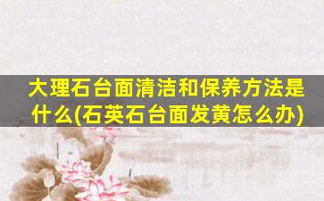 大理石台面清洁和保养方法是什么(石英石台面发黄怎么办)