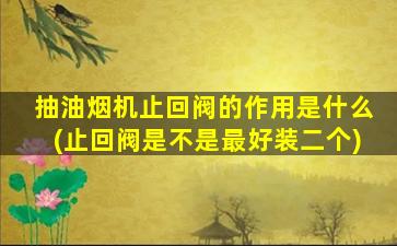 抽油烟机止回阀的作用是什么(止回阀是不是最好装二个)