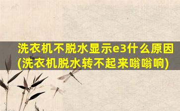 洗衣机不脱水显示e3什么原因(洗衣机脱水转不起来嗡嗡响)