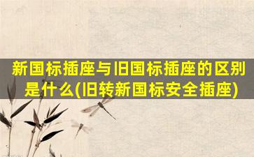 新国标插座与旧国标插座的区别是什么(旧转新国标安全插座)