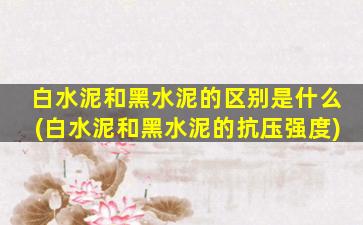 白水泥和黑水泥的区别是什么(白水泥和黑水泥的抗压强度)
