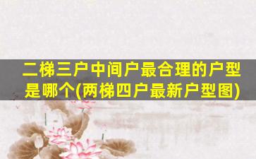 二梯三户中间户最合理的户型是哪个(两梯四户最新户型图)