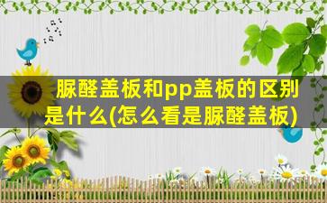 脲醛盖板和pp盖板的区别是什么(怎么看是脲醛盖板)