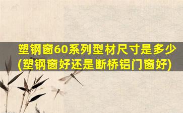 塑钢窗60系列型材尺寸是多少(塑钢窗好还是断桥铝门窗好)