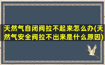 天然气自闭阀拉不起来怎么办(天然气安全阀拉不出来是什么原因)