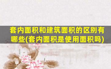 套内面积和建筑面积的区别有哪些(套内面积是使用面积吗)