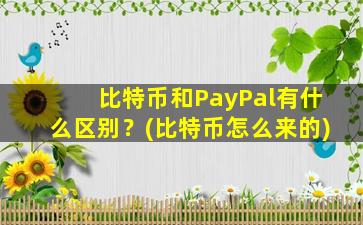 比特币和PayPal有什么区别？(比特币怎么来的)