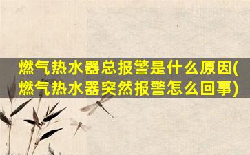 燃气热水器总报警是什么原因(燃气热水器突然报警怎么回事)