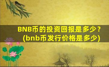 BNB币的投资回报是多少？(bnb币发行价格是多少)