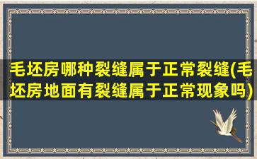 毛坯房哪种裂缝属于正常裂缝(毛坯房地面有裂缝属于正常现象吗)