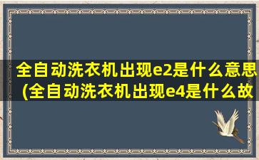 全自动洗衣机出现e2是什么意思(全自动洗衣机出现e4是什么故障)