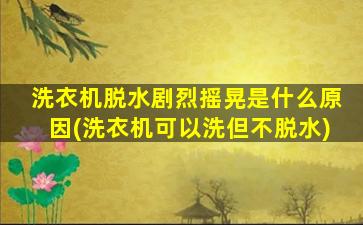 洗衣机脱水剧烈摇晃是什么原因(洗衣机可以洗但不脱水)