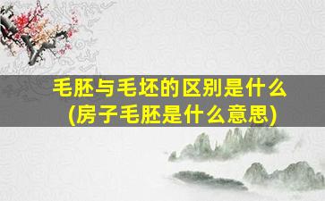 毛胚与毛坯的区别是什么(房子毛胚是什么意思)