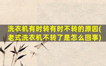洗衣机有时转有时不转的原因(老式洗衣机不转了是怎么回事)