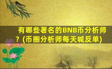 有哪些著名的BNB币分析师？(币圈分析师每天喊反单)