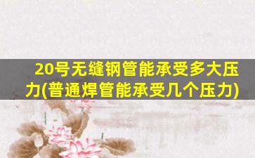 20号无缝钢管能承受多大压力(普通焊管能承受几个压力)