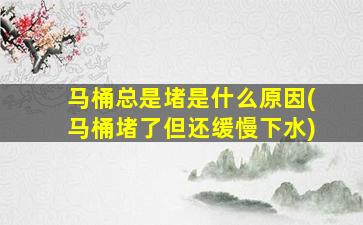 马桶总是堵是什么原因(马桶堵了但还缓慢下水)