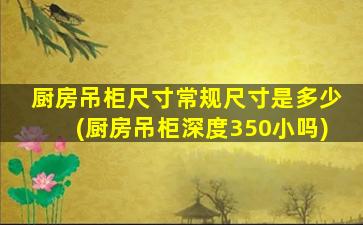 厨房吊柜尺寸常规尺寸是多少(厨房吊柜深度350小吗)