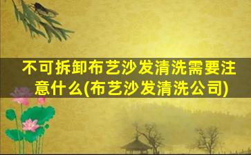 不可拆卸布艺沙发清洗需要注意什么(布艺沙发清洗公司)
