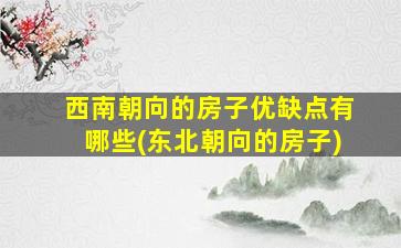 西南朝向的房子优缺点有哪些(东北朝向的房子)