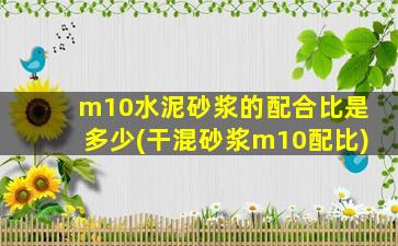 m10水泥砂浆的配合比是多少(干混砂浆m10配比)