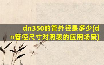dn350的管外径是多少(dn管径尺寸对照表的应用场景)