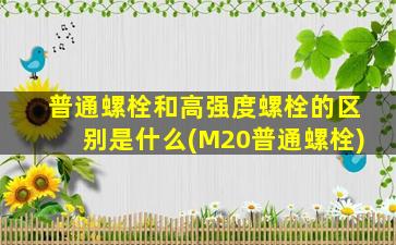 普通螺栓和高强度螺栓的区别是什么(M20普通螺栓)