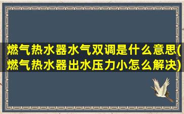 燃气热水器水气双调是什么意思(燃气热水器出水压力小怎么解决)
