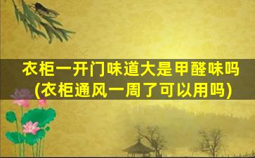 衣柜一开门味道大是甲醛味吗(衣柜通风一周了可以用吗)