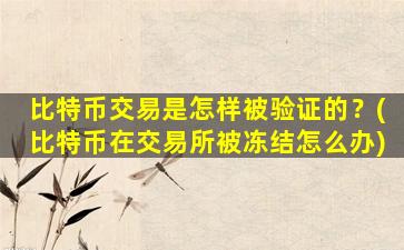 比特币交易是怎样被验证的？(比特币在交易所被冻结怎么办)