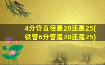 4分管直径是20还是25(铁管6分管是20还是25)