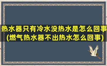 热水器只有冷水没热水是怎么回事(燃气热水器不出热水怎么回事)