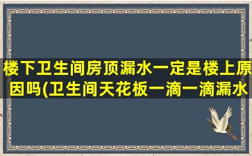 楼下卫生间房顶漏水一定是楼上原因吗(卫生间天花板一滴一滴漏水)