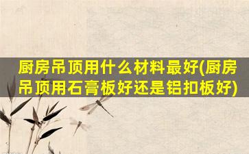 厨房吊顶用什么材料最好(厨房吊顶用石膏板好还是铝扣板好)