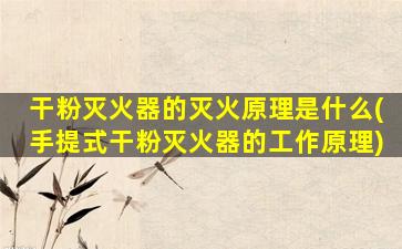 干粉灭火器的灭火原理是什么(手提式干粉灭火器的工作原理)