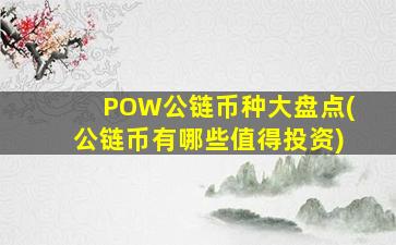 POW公链币种大盘点(公链币有哪些值得投资)