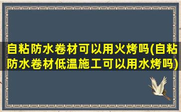 自粘防水卷材可以用火烤吗(自粘防水卷材低温施工可以用水烤吗)