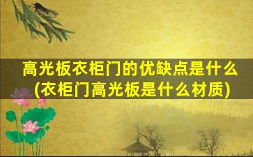 高光板衣柜门的优缺点是什么(衣柜门高光板是什么材质)