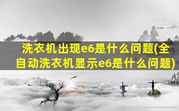 洗衣机出现e6是什么问题(全自动洗衣机显示e6是什么问题)