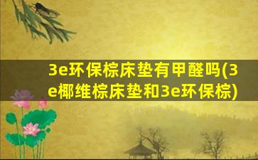 3e环保棕床垫有甲醛吗(3e椰维棕床垫和3e环保棕)