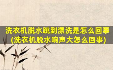 洗衣机脱水跳到漂洗是怎么回事(洗衣机脱水响声大怎么回事)