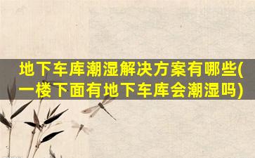 地下车库潮湿解决方案有哪些(一楼下面有地下车库会潮湿吗)