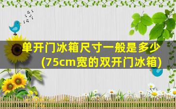 单开门冰箱尺寸一般是多少(75cm宽的双开门冰箱)