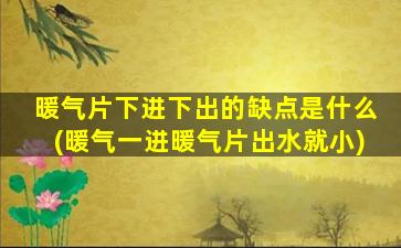 暖气片下进下出的缺点是什么(暖气一进暖气片出水就小)