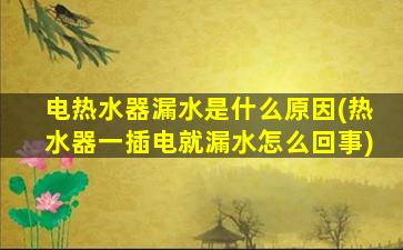 电热水器漏水是什么原因(热水器一插电就漏水怎么回事)
