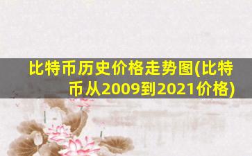 比特币历史价格走势图(比特币从2009到2021价格)