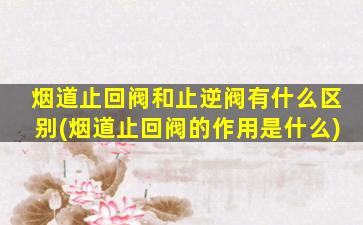 烟道止回阀和止逆阀有什么区别(烟道止回阀的作用是什么)